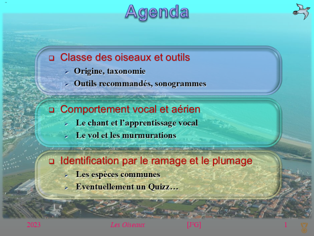 Agenda de la conférence n°11 avec 3 sections distinctes.