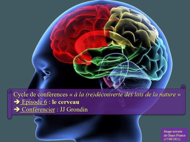 Affiche de la conférence n°6, elle montre les lobes du cerveau